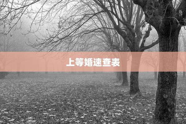 上等婚速查表