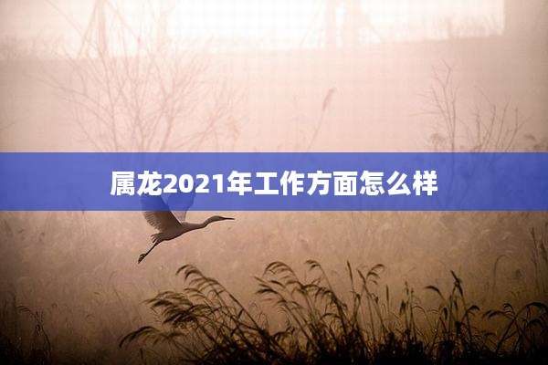 属龙2021年工作方面怎么样