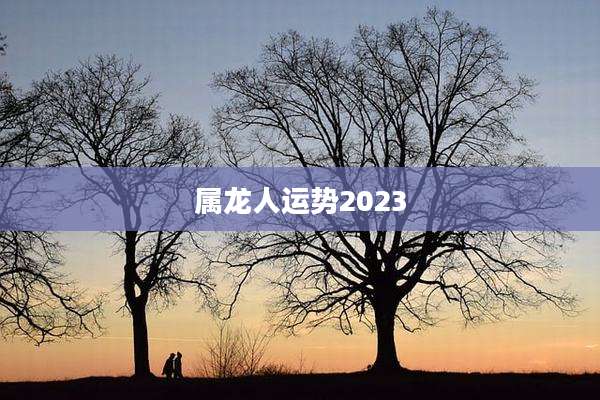 属龙人运势2023