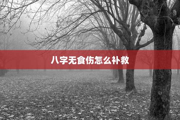 八字无食伤怎么补救
