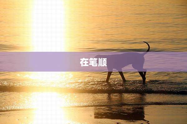 在笔顺