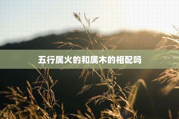 五行属火的和属木的相配吗