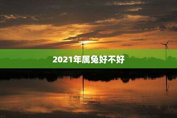 2021年属兔好不好
