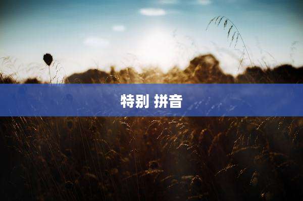 特别 拼音