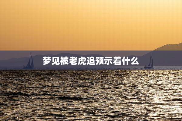 梦见被老虎追预示着什么