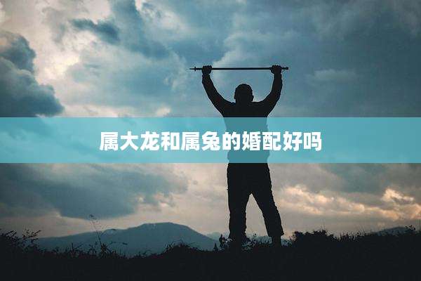 属大龙和属兔的婚配好吗