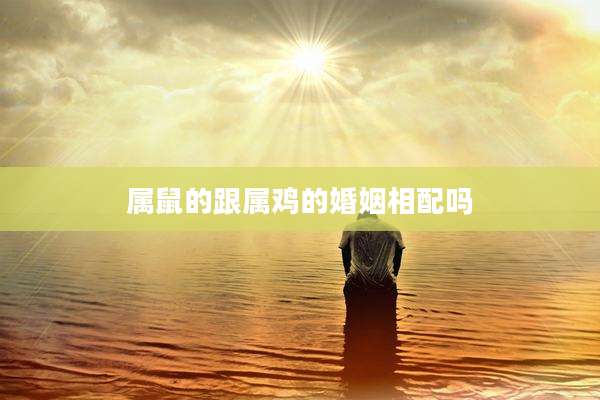属鼠的跟属鸡的婚姻相配吗