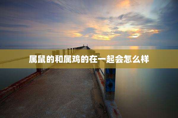属鼠的和属鸡的在一起会怎么样