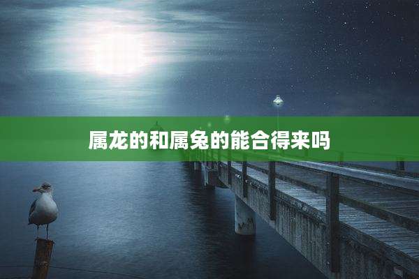 属龙的和属兔的能合得来吗