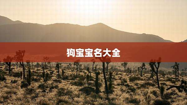 狗宝宝名大全