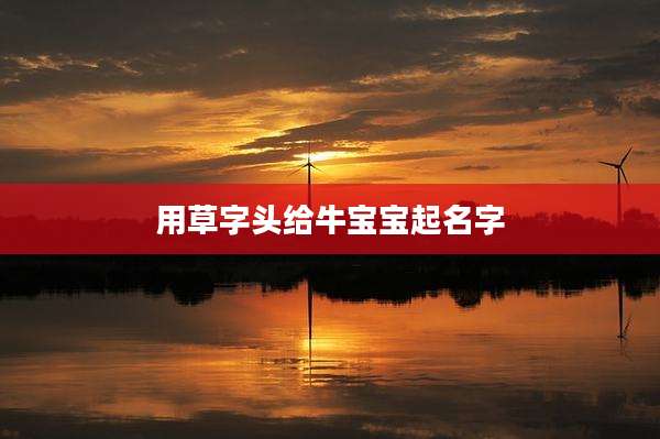 用草字头给牛宝宝起名字