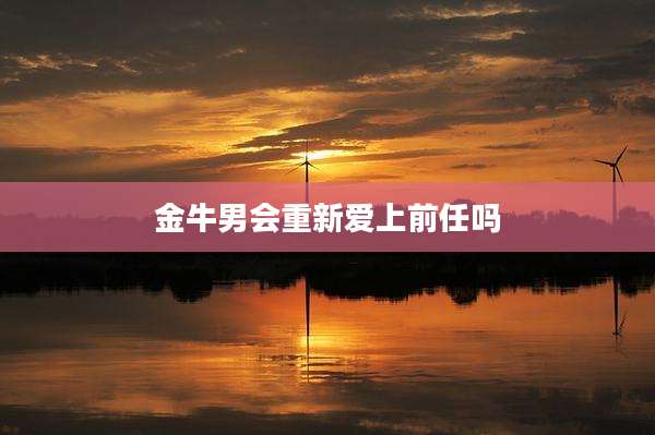 金牛男会重新爱上前任吗