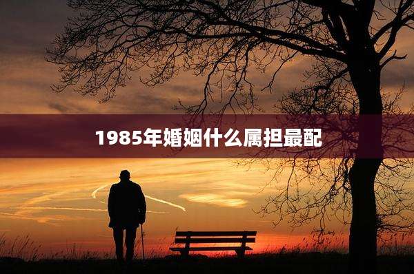1985年婚姻什么属担最配
