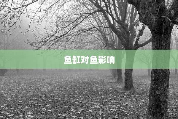 鱼缸对鱼影响