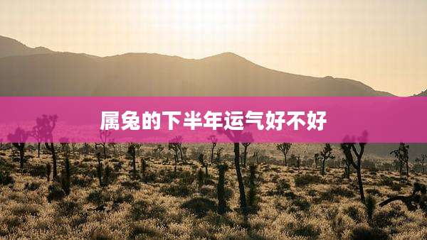 属兔的下半年运气好不好