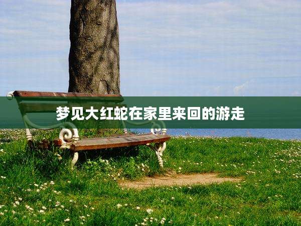 梦见大红蛇在家里来回的游走