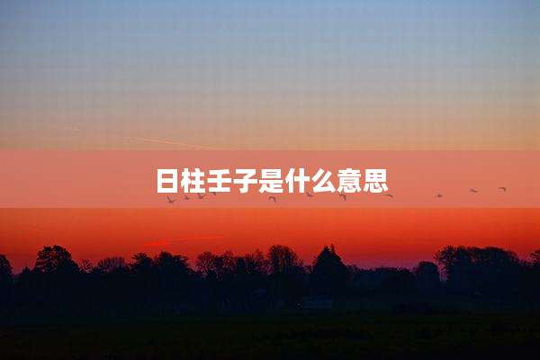 日柱壬子是什么意思