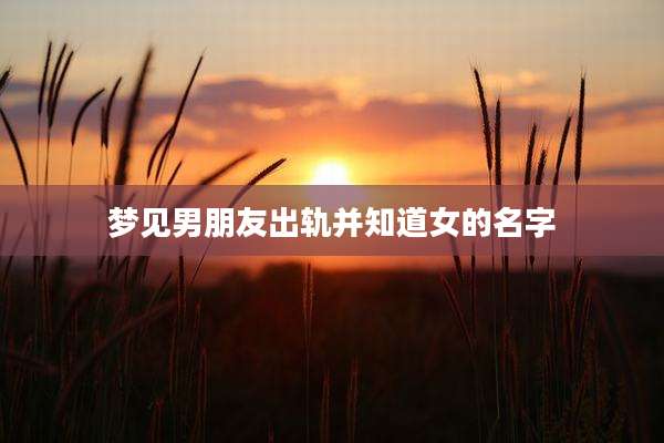 梦见男朋友出轨并知道女的名字