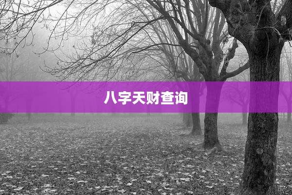 八字天财查询