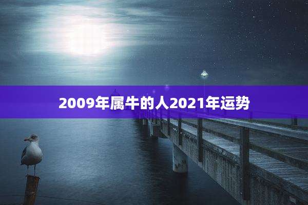 2009年属牛的人2021年运势
