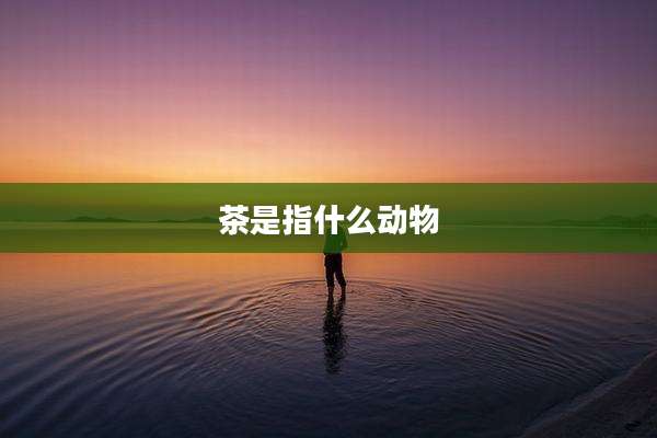 茶是指什么动物