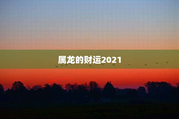 属龙的财运2021