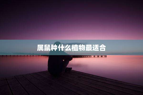 属鼠种什么植物最适合