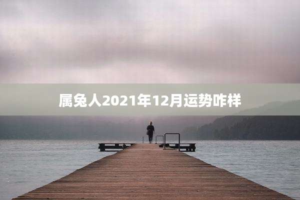 属兔人2021年12月运势咋样