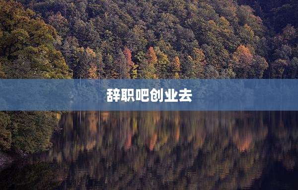辞职吧创业去