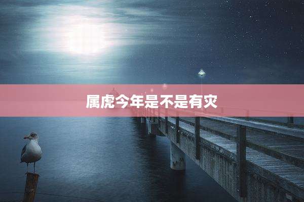 属虎今年是不是有灾