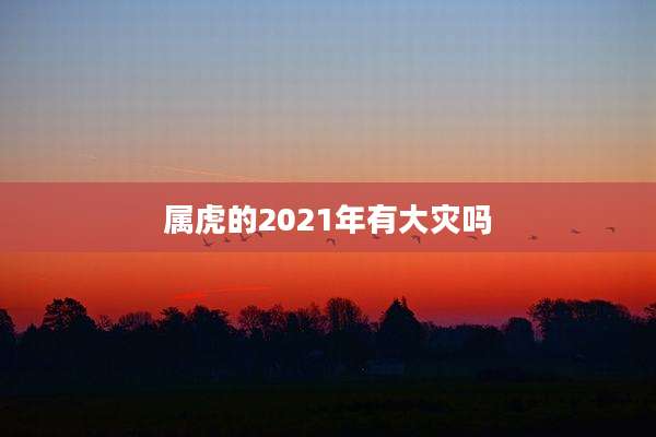 属虎的2021年有大灾吗
