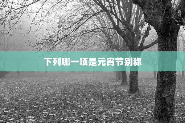 下列哪一项是元宵节别称