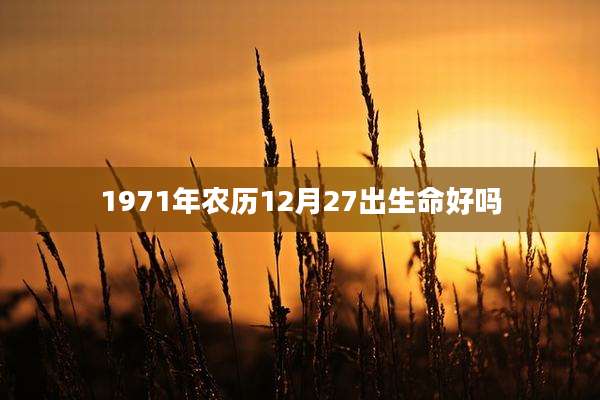 1971年农历12月27出生命好吗