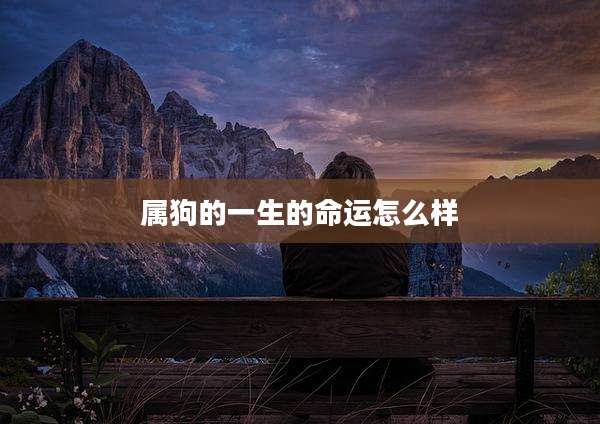 属狗的一生的命运怎么样