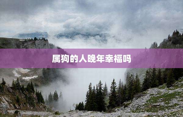 属狗的人晚年幸福吗