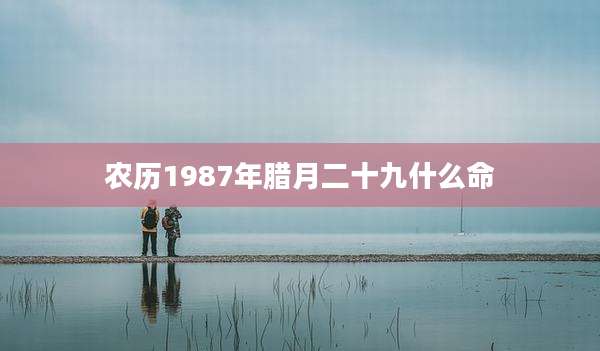 农历1987年腊月二十九什么命