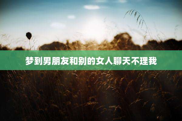 梦到男朋友和别的女人聊天不理我