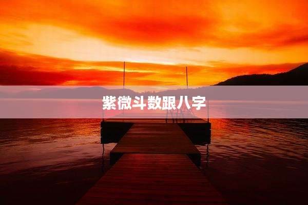 紫微斗数跟八字