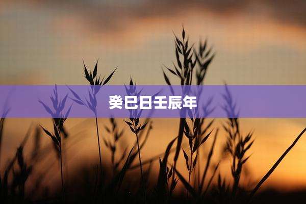 癸巳日壬辰年