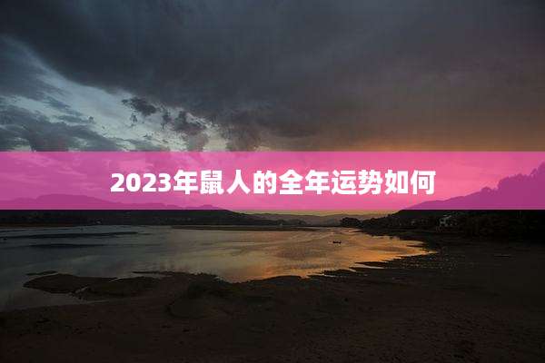 2023年鼠人的全年运势如何