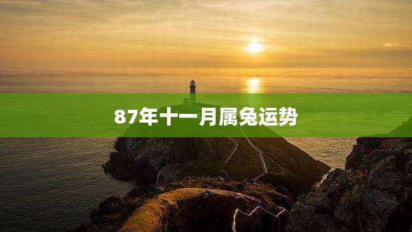 87年十一月属兔运势