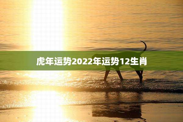 虎年运势2022年运势12生肖