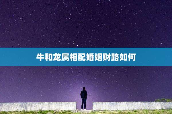 牛和龙属相配婚姻财路如何