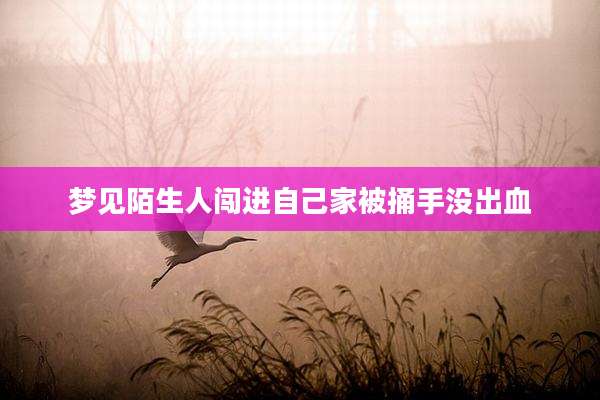 梦见陌生人闯进自己家被捅手没出血