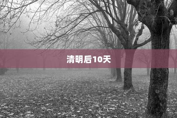 清明后10天