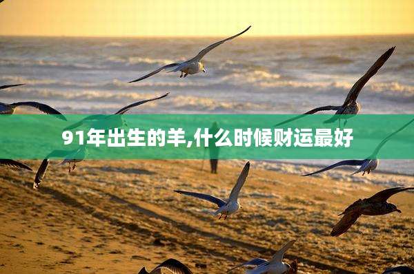 91年出生的羊,什么时候财运最好