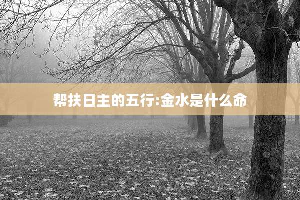 帮扶日主的五行:金水是什么命