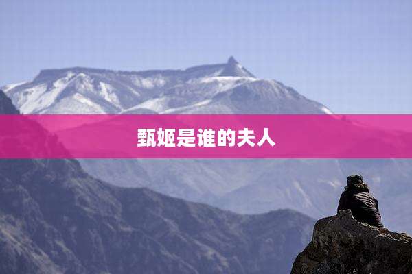 甄姬是谁的夫人