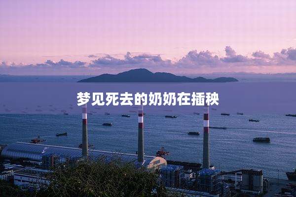 梦见死去的奶奶在插秧
