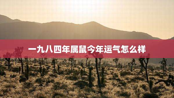 一九八四年属鼠今年运气怎么样